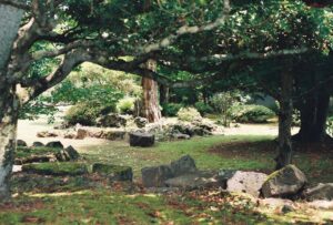 Peaceful view of lush greenery and rocks in a Japanese forest park in Oshino, Yamanashi.