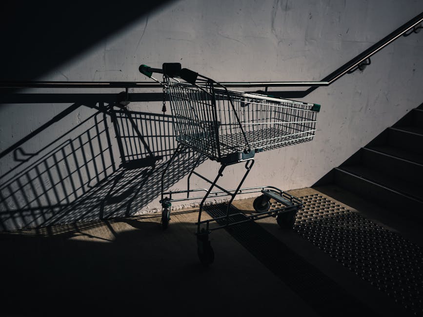 A shopping cart casting a dramatic shadow on a sunlit urban staircase.
