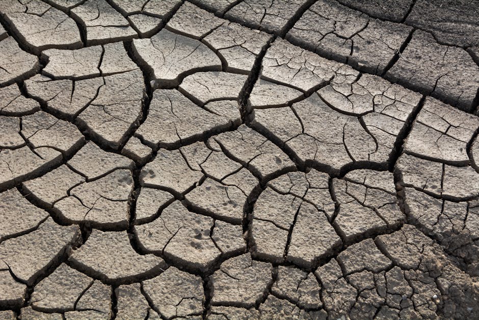 Close-up of cracked dry earth highlighting drought impact and climate change.