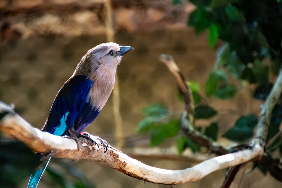 A vibrant bird with striking plumage sits elegantly on a tree branch.