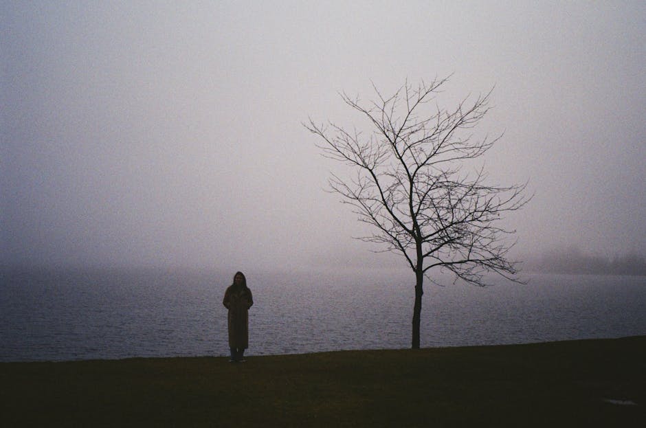 A lone figure stands by a misty lakeside next to a bare tree.