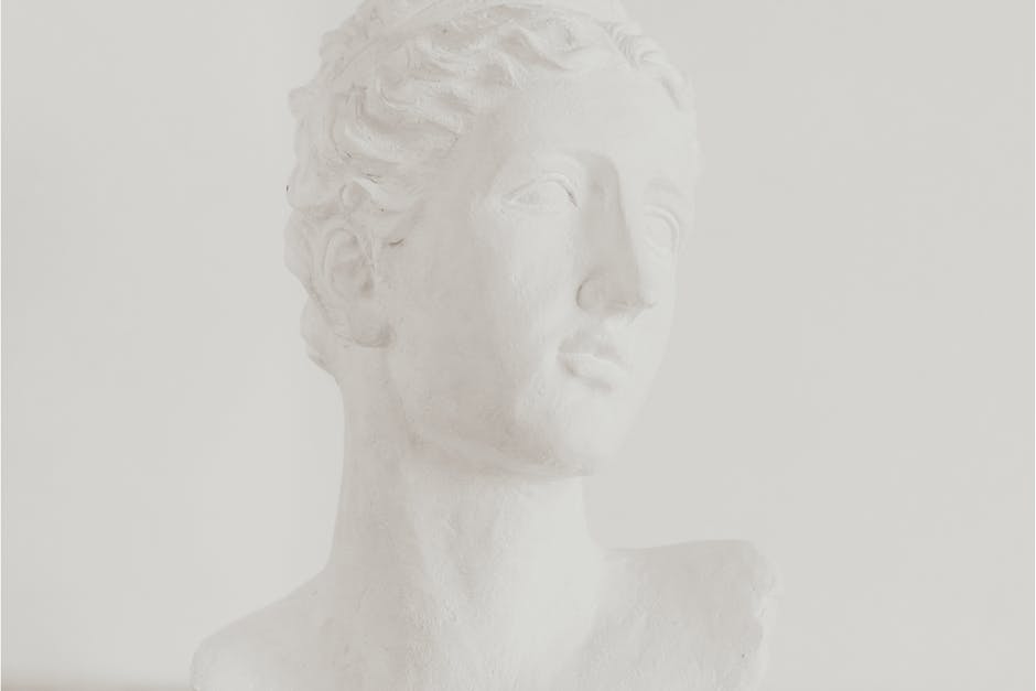 Close-up of an elegant white marble head bust sculpture showcasing classical art.
