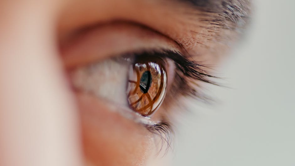 A detailed close-up of a brown eye showing a reflection, focused on lashes.