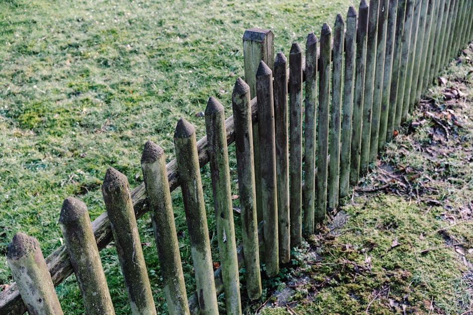 A rustic, weathered wooden fence in a grassy, outdoor garden setting. Perfect for nature photography.