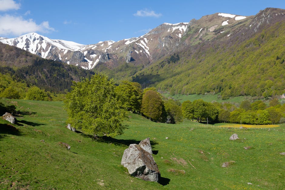 Beautiful spring landscape of Mont-Dore with snowcapped mountains and lush meadows.